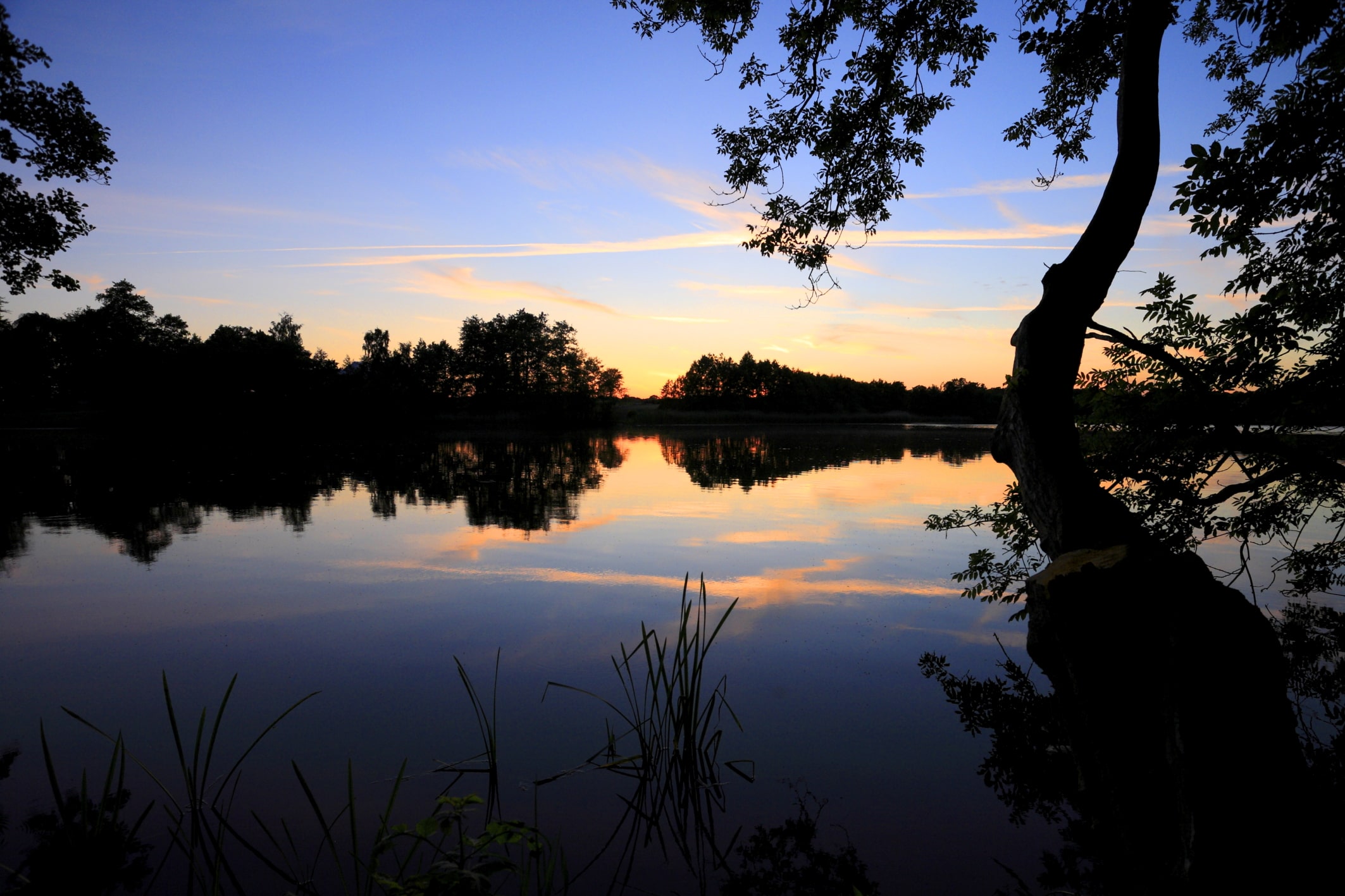 Blick auf den abendlichen Manhagener See.