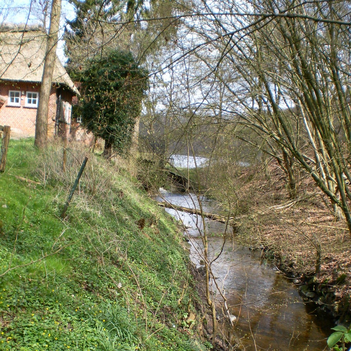 Mühlennau und Wassermühle